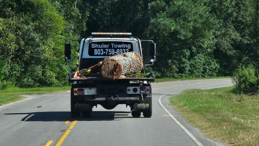 Junk Vehicle Removal